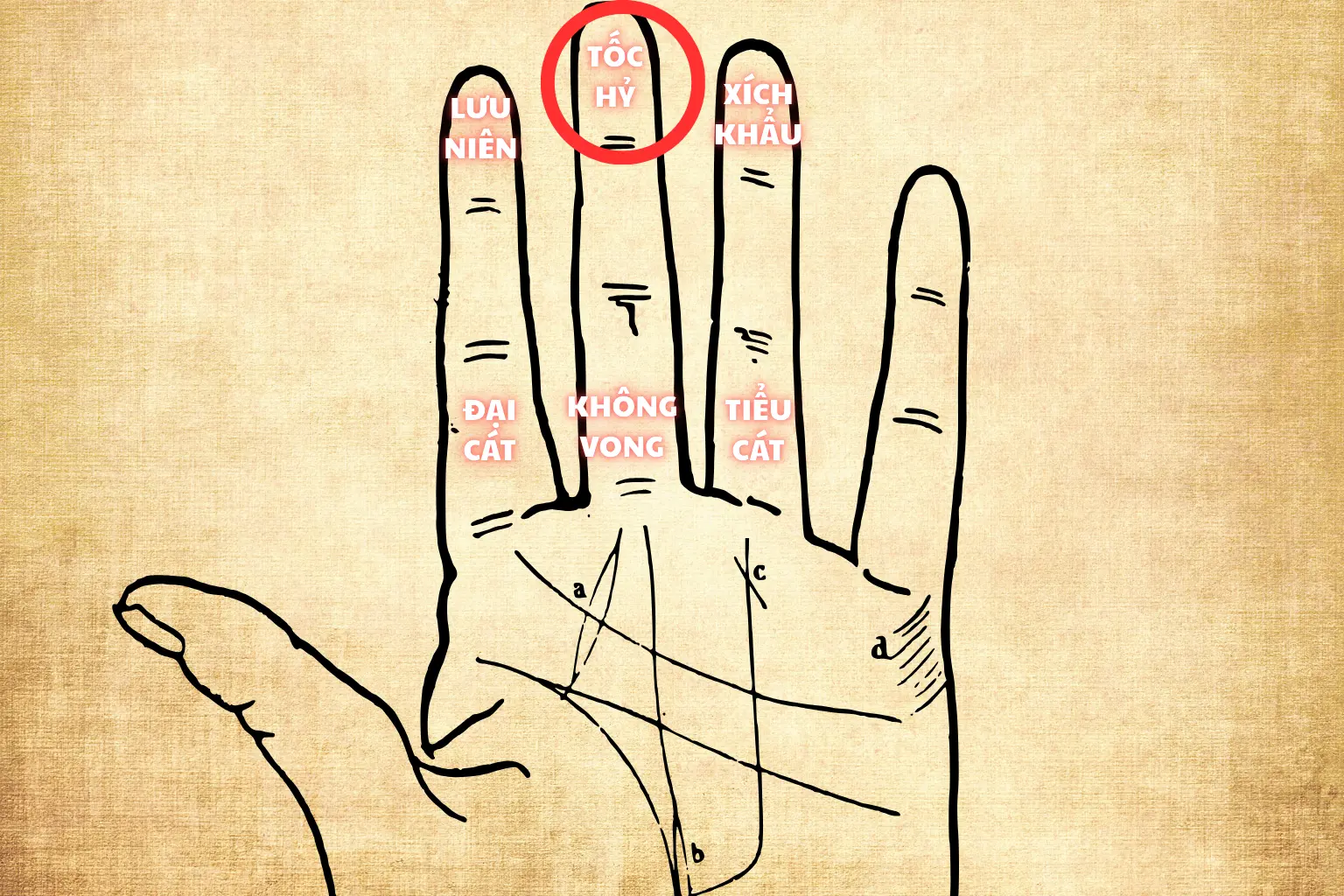 2.2. Cách tính ngày trong từng tháng