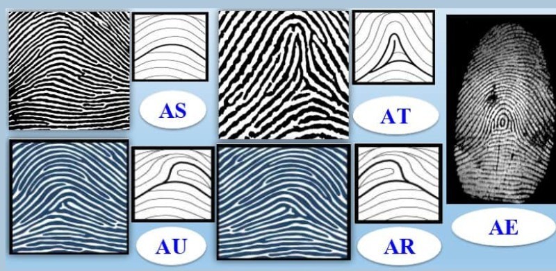 3.3. Nhóm Arch (Núi – nhóm thực tế, kỷ luật)